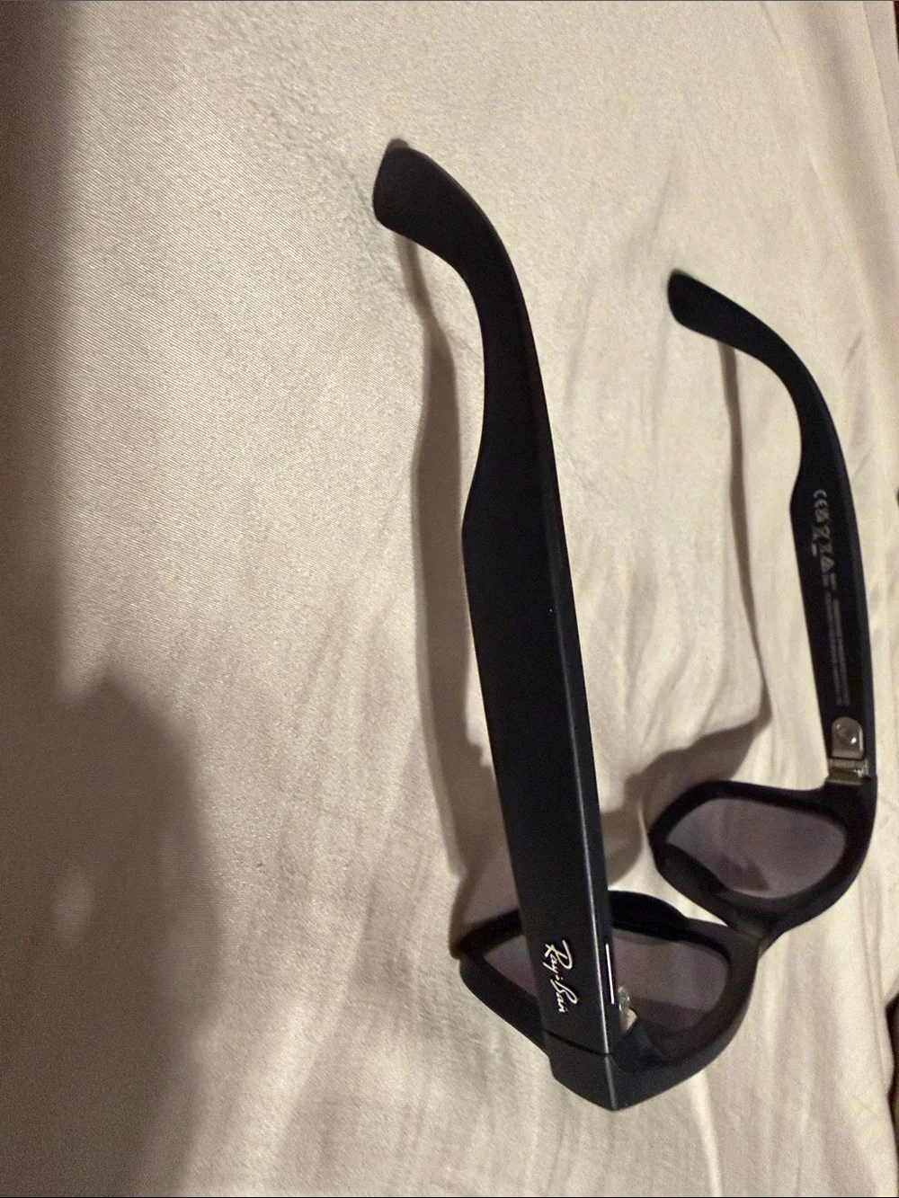 Ray-Ban Black Wayfarer Sunglasses with Brown Case